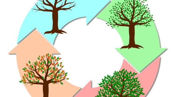 Ciclo de vida do produto (CVP)